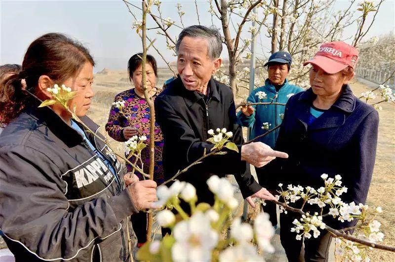 阜平縣城最新規(guī)劃圖，塑造未來城市的藍(lán)圖