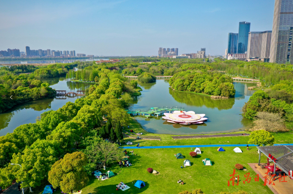 圍嶺公園最新消息，打造城市綠色新名片