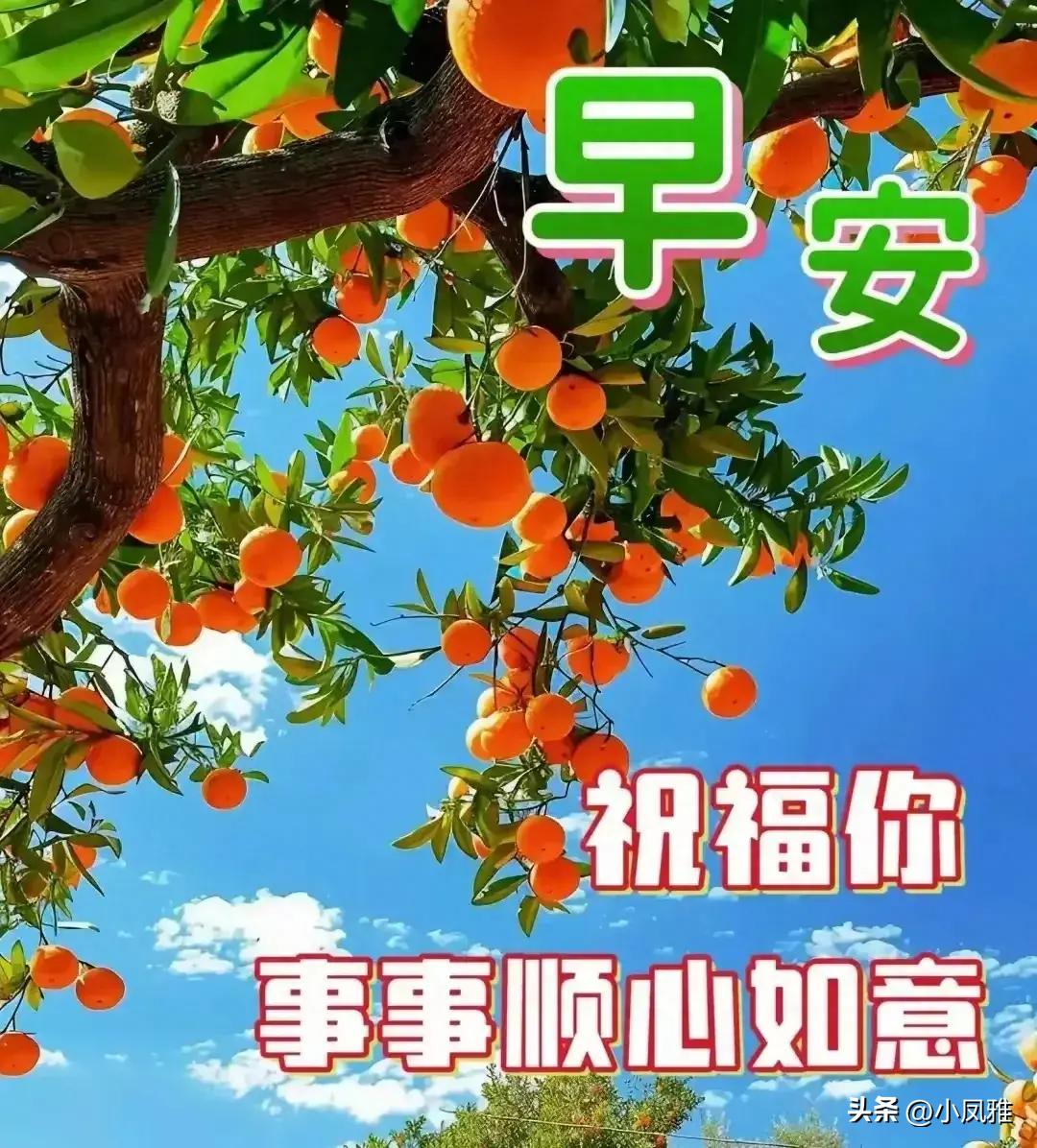 探索與分享，2024天天彩全年免費資料的深度解析