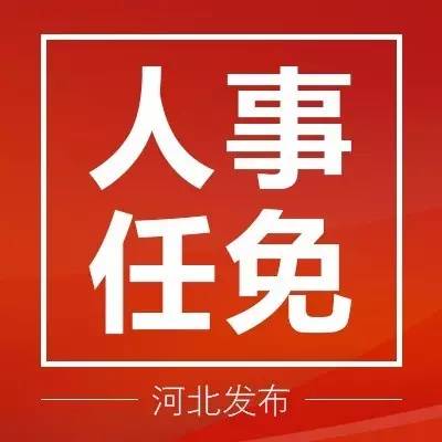 河北省最新任免動(dòng)態(tài)解析