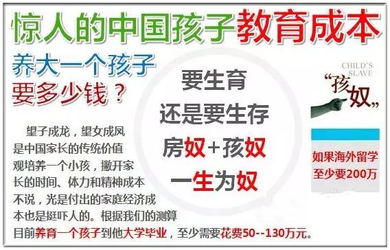 澳門三肖三碼精準100%管家婆，揭示犯罪背后的真相與警示社會的重要性