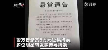 管家婆必出一肖一碼一中，揭秘背后的秘密與真相