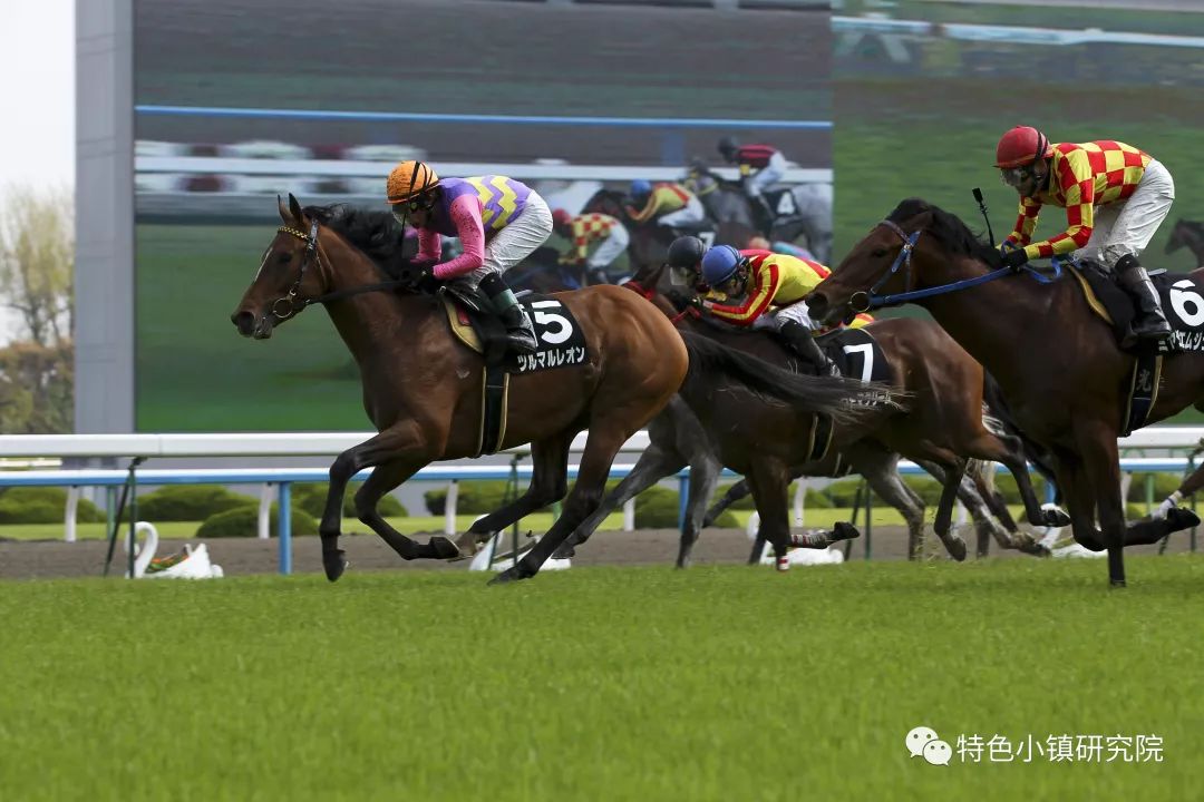 今晚香港開特馬，探尋賽馬運動的魅力與未來展望