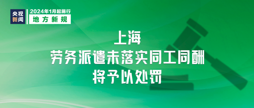 探索與分享，2024正版資料大全的免費資源世界