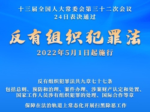 澳門正版免費(fèi)全年資料大全，一個關(guān)于犯罪與法律的話題