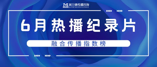 管家婆一肖一馬一中一特，揭秘神秘命運之輪下的故事