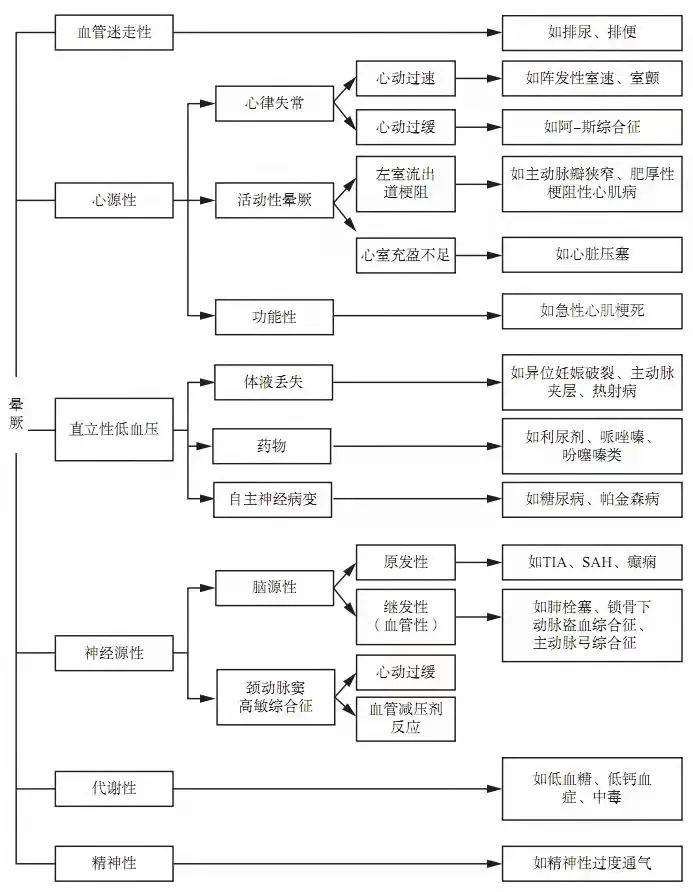 澳門(mén)100%最準(zhǔn)一肖，探索背后的神秘與魅力