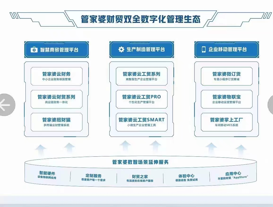 未來(lái)的管家婆，2024年管家婆100的崛起