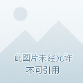 衡水小區(qū)房?jī)r(jià)最新排名，市場(chǎng)分析與趨勢(shì)預(yù)測(cè)