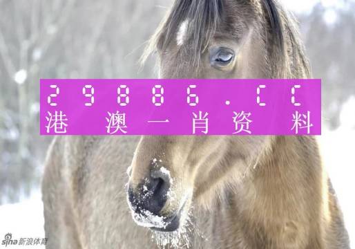 澳門精準(zhǔn)一肖一碼100%，揭示背后的犯罪問題