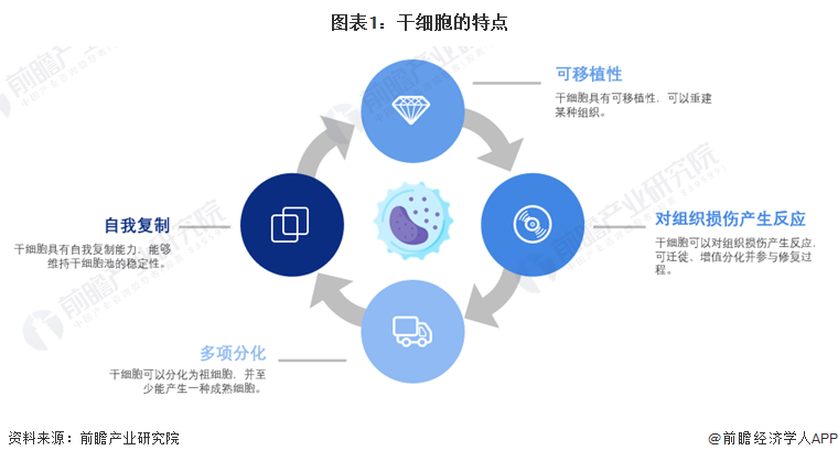 安沂華干細(xì)胞最新進(jìn)展，突破與創(chuàng)新的前沿科技