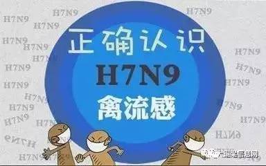 香港H7N9最新消息2017，流感監(jiān)測(cè)與防控進(jìn)展